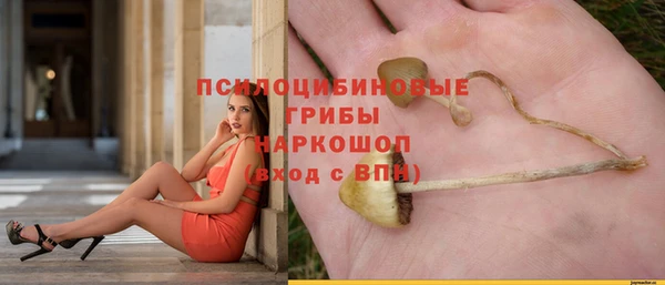 дурь Богданович